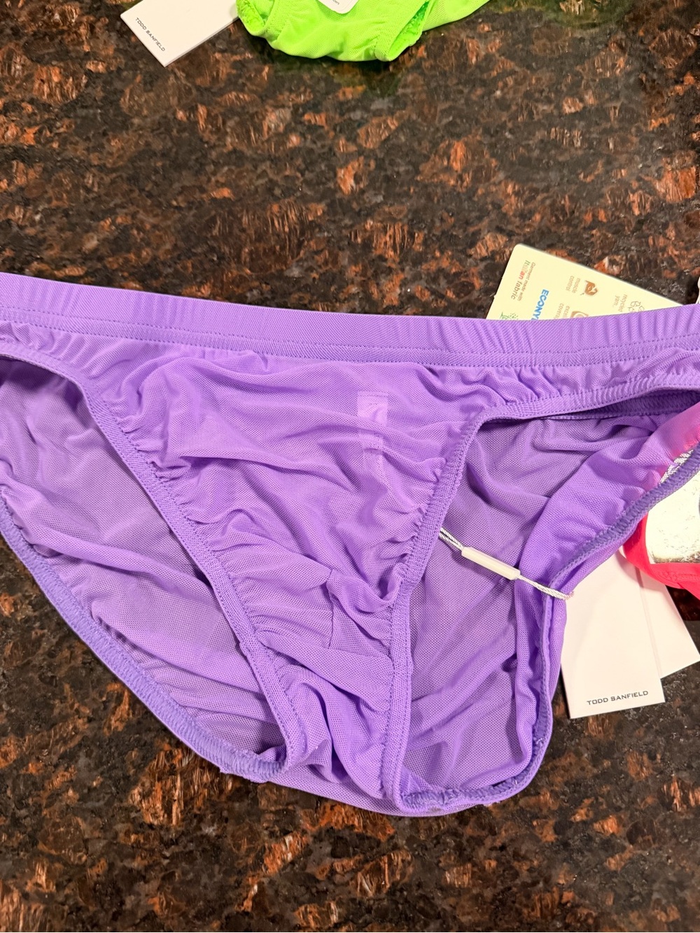 Purple Bikini Mesh Brief